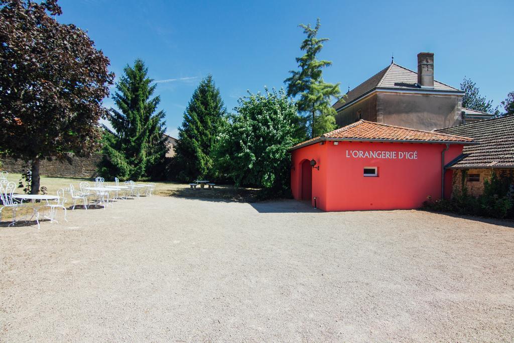 Chateau D'Ige Eksteriør billede