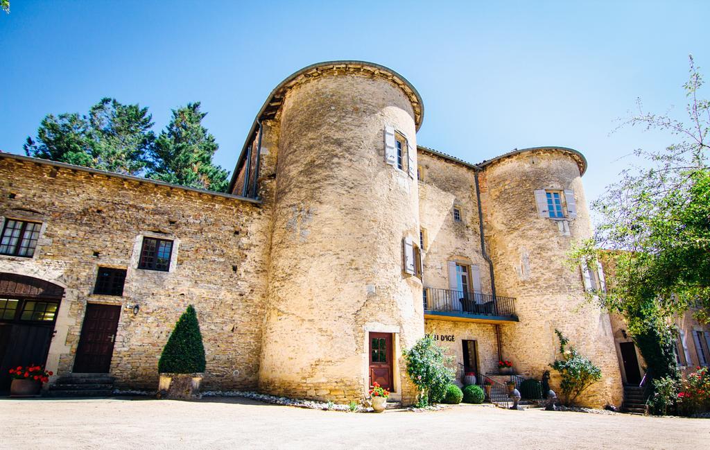 Chateau D'Ige Eksteriør billede